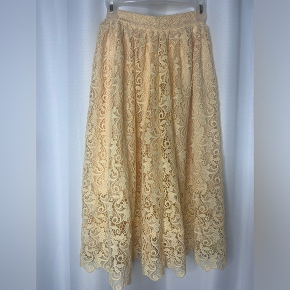 H&M Lace Midi skirt - Picture 9 of 12